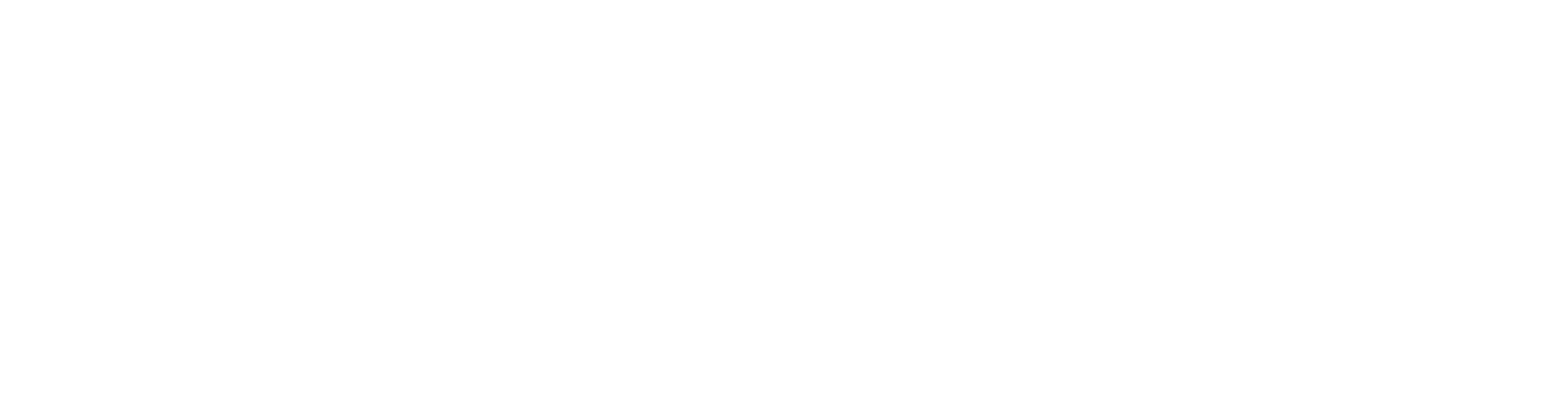 AmpImpact_Logo_Primary_Horizontal_InverseWhite
