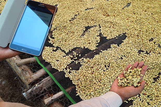 TechnoServe - DIGITIZING COFFEE AGRONOMY TRAINING & MONITORING