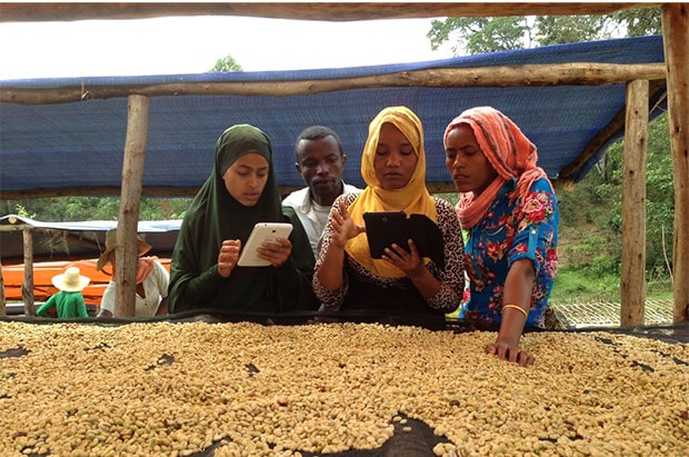 TechnoServe - DIGITIZING COFFEE AGRONOMY TRAINING & MONITORING