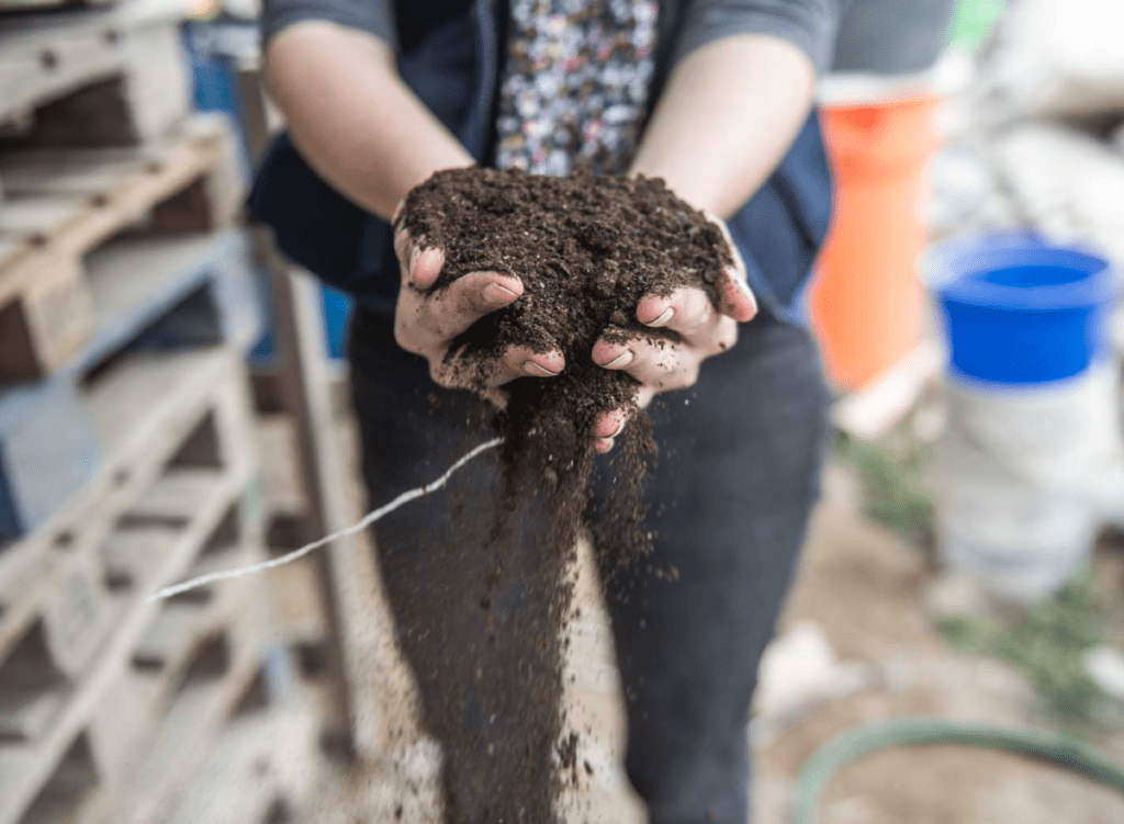 compost-1