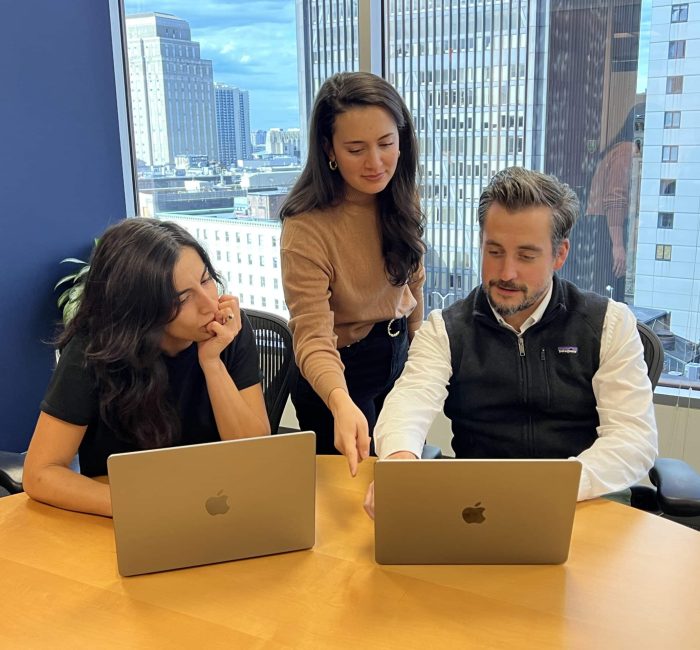 Salesforce NPC
